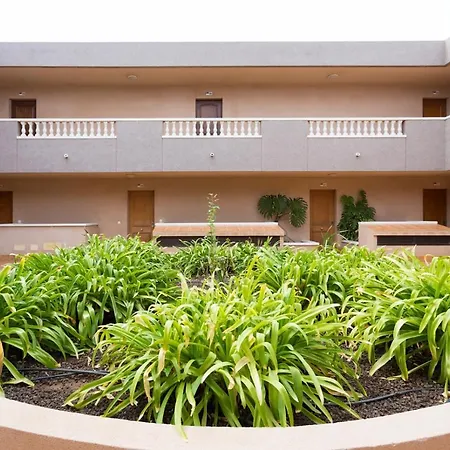 Live Medano Blanquitos Apartment El Medano (Tenerife)